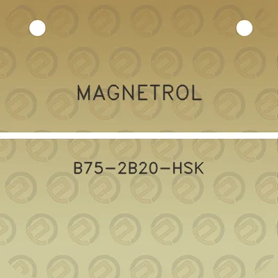 magnetrol-b75-2b20-hsk