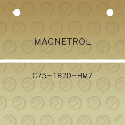 magnetrol-c75-1b20-hm7