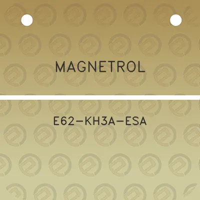 magnetrol-e62-kh3a-esa