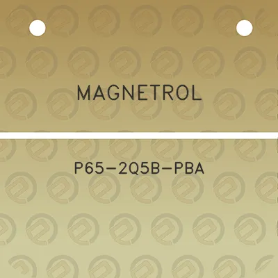 magnetrol-p65-2q5b-pba