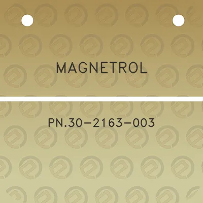 magnetrol-pn30-2163-003