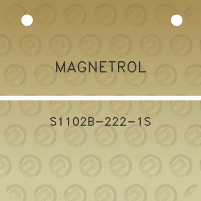 magnetrol-s1102b-222-1s