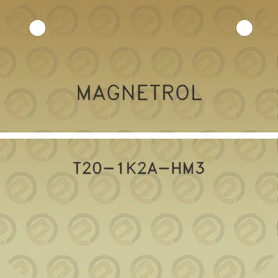 magnetrol-t20-1k2a-hm3