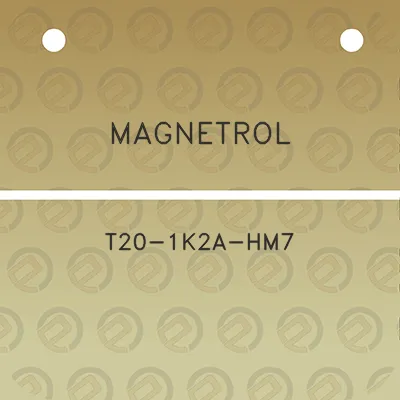 magnetrol-t20-1k2a-hm7