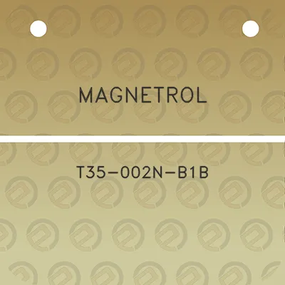 magnetrol-t35-002n-b1b