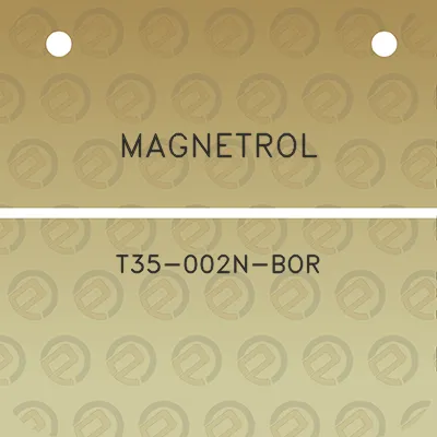 magnetrol-t35-002n-bor