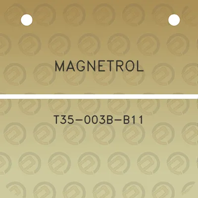 magnetrol-t35-003b-b11