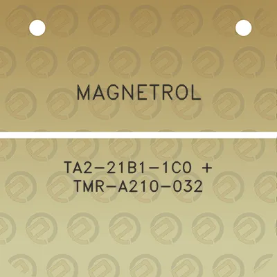 magnetrol-ta2-21b1-1c0-tmr-a210-032