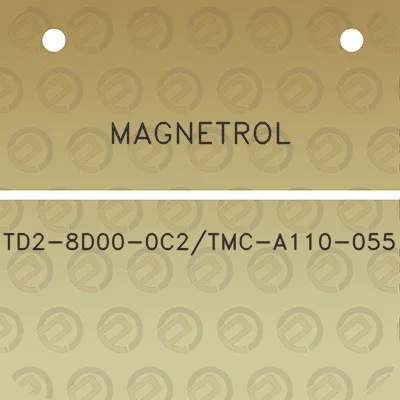 magnetrol-td2-8d00-0c2tmc-a110-055