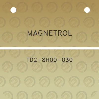 magnetrol-td2-8h00-030