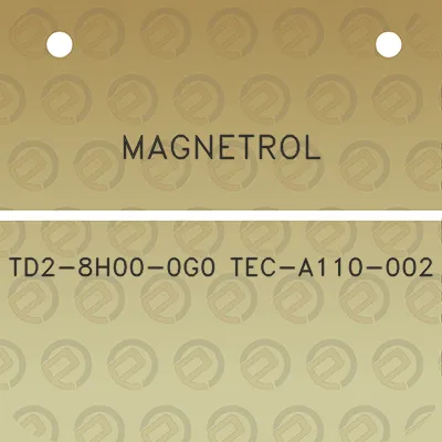 magnetrol-td2-8h00-0g0-tec-a110-002