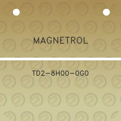 magnetrol-td2-8h00-0g0