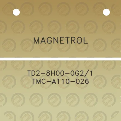 magnetrol-td2-8h00-0g21-tmc-a110-026