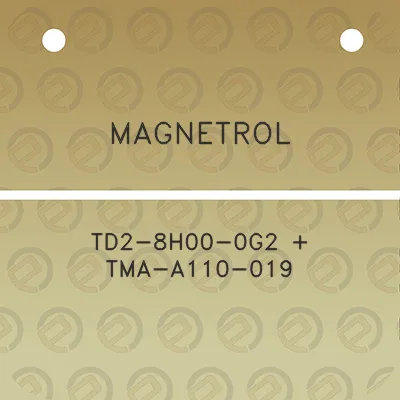 magnetrol-td2-8h00-0g2-tma-a110-019