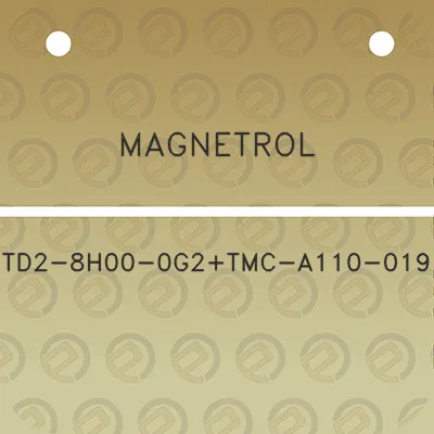 magnetrol-td2-8h00-0g2tmc-a110-019