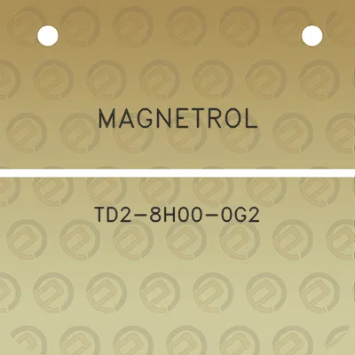 magnetrol-td2-8h00-0g2