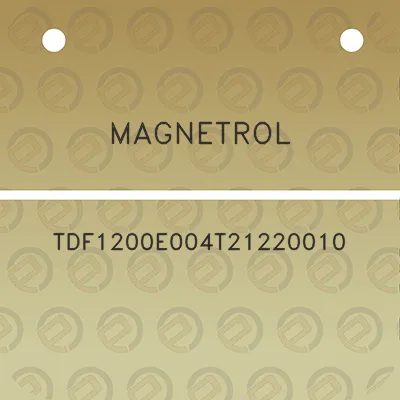 magnetrol-tdf1200e004t21220010