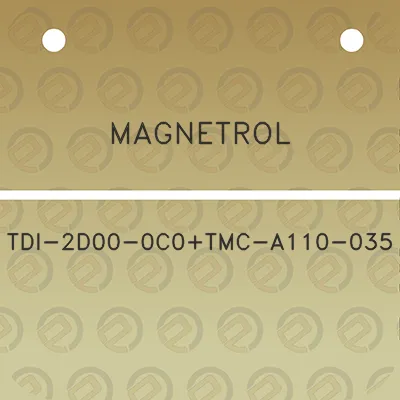 magnetrol-tdi-2d00-0c0tmc-a110-035