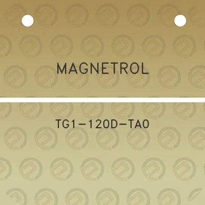 magnetrol-tg1-120d-ta0