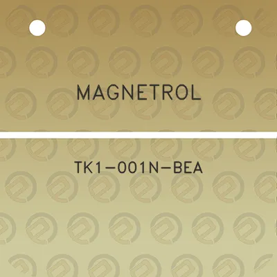 magnetrol-tk1-001n-bea