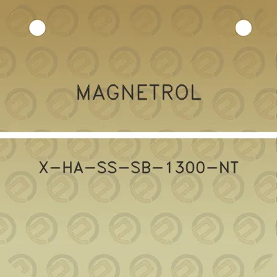 magnetrol-x-ha-ss-sb-1300-nt