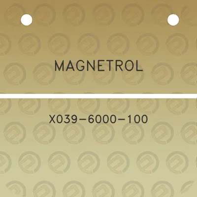 magnetrol-x039-6000-100