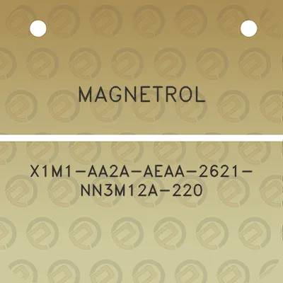 magnetrol-x1m1-aa2a-aeaa-2621-nn3m12a-220