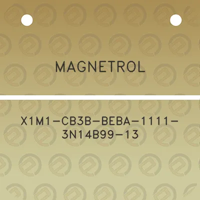 magnetrol-x1m1-cb3b-beba-1111-3n14b99-13