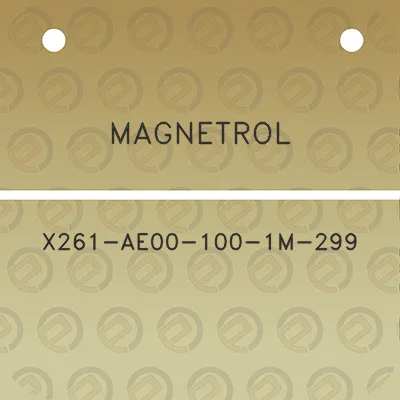 magnetrol-x261-ae00-100-1m-299