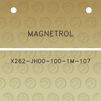 magnetrol-x262-jh00-100-1m-107