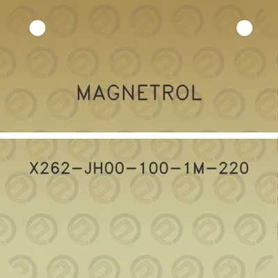 magnetrol-x262-jh00-100-1m-220