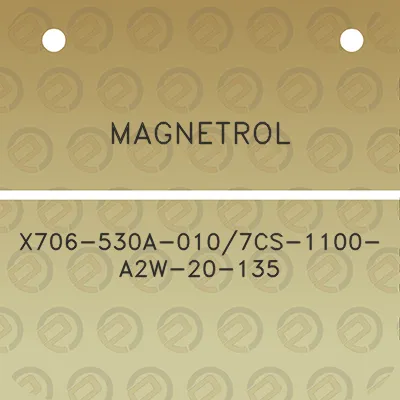 magnetrol-x706-530a-0107cs-1100-a2w-20-135