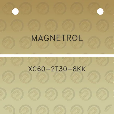 magnetrol-xc60-2t30-8kk