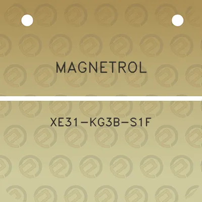 magnetrol-xe31-kg3b-s1f