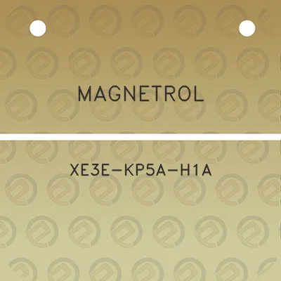 magnetrol-xe3e-kp5a-h1a