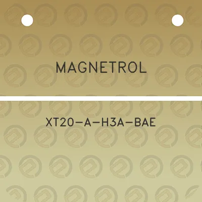 magnetrol-xt20-a-h3a-bae