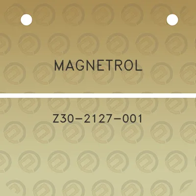 magnetrol-z30-2127-001