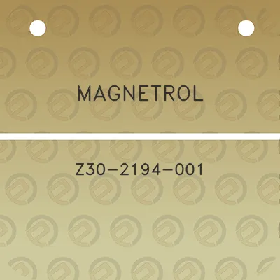 magnetrol-z30-2194-001