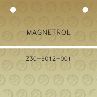 magnetrol-z30-9012-001