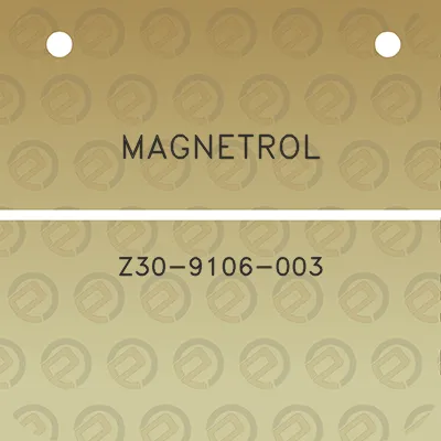 magnetrol-z30-9106-003