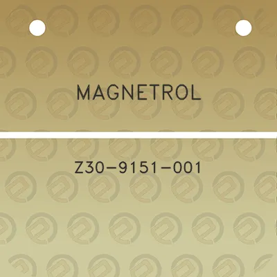 magnetrol-z30-9151-001