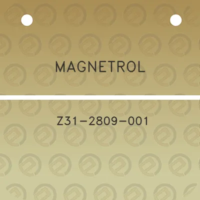 magnetrol-z31-2809-001