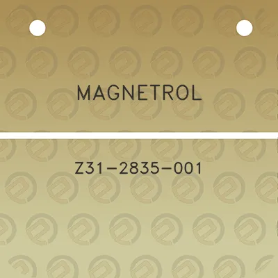 magnetrol-z31-2835-001