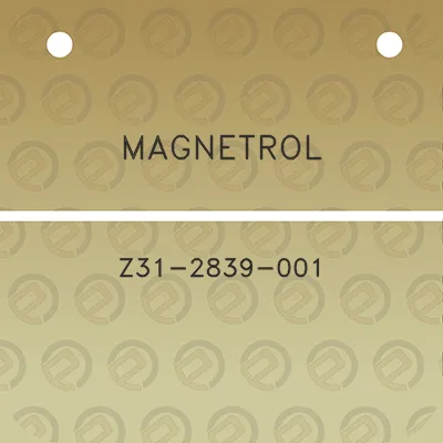 magnetrol-z31-2839-001