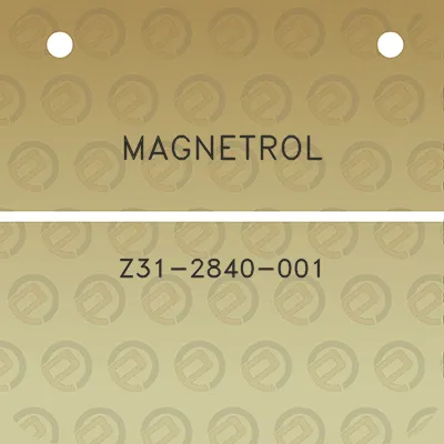 magnetrol-z31-2840-001