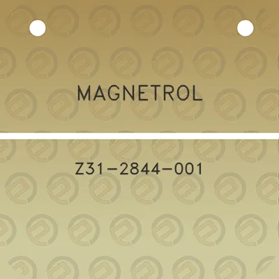 magnetrol-z31-2844-001