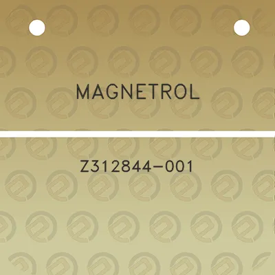 magnetrol-z312844-001