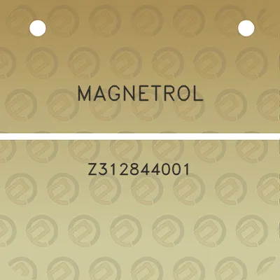 magnetrol-z312844001