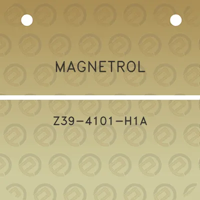 magnetrol-z39-4101-h1a