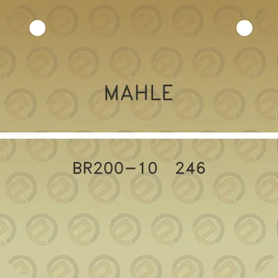 mahle-br200-10-246